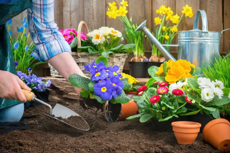 How Long Does Mulch Last in Roanoke, VA