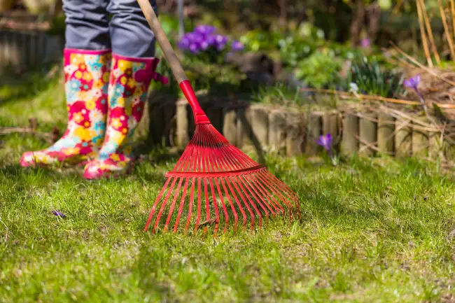 How to clear a yard full of weeds in Roanoke, VA