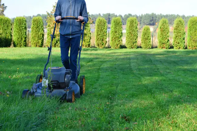 Affordable lawn mowing in Roanoke, VA