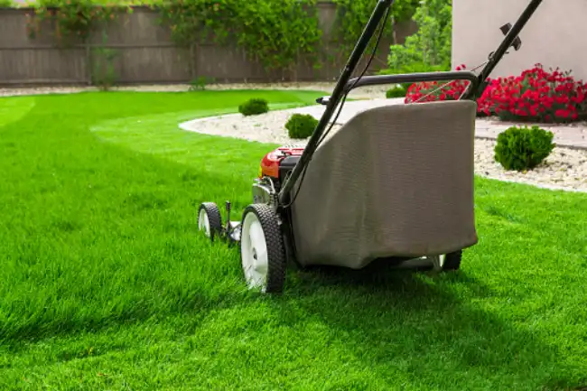 Professional lawn mowing in Roanoke, VA