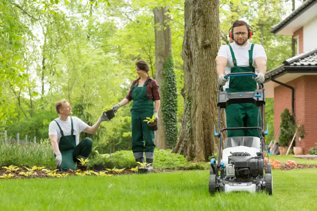 Reliable lawn mowing in Roanoke, VA