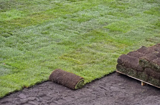 Outstanding sod installation in Roanoke, VA