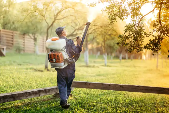 When is the best time to fertilize your lawn in Roanoke, VA