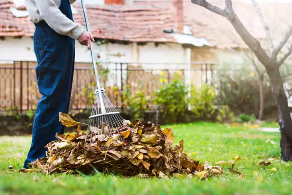 Professional yard cleanup in Roanoke, VA